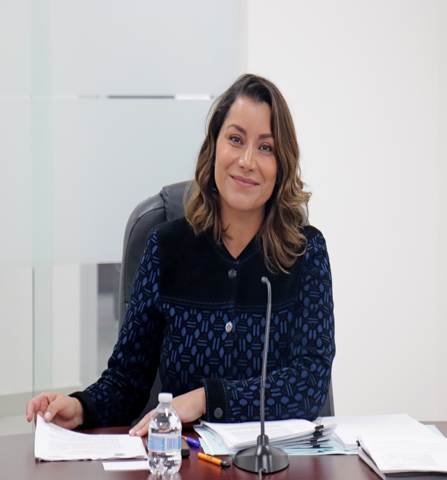 Presidenta Magistrada Swany Pena Reyes